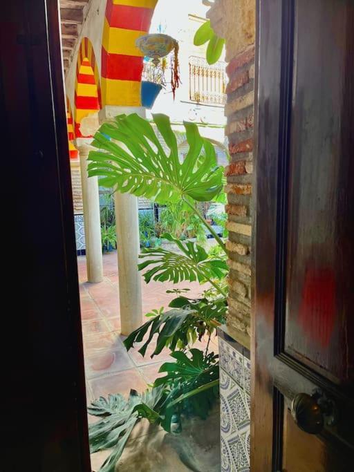코르도바 Patio De La Corredera 아파트 외부 사진